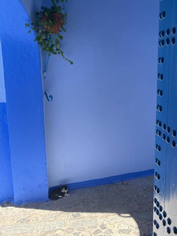 Coco Chawen Villa Chefchaouen Exterior photo
